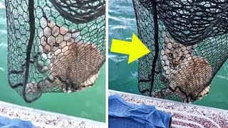 Fisherman Reels in His Catch Then Breaks Down in Tears When He Sees What’s in His Net A Lynx [upl. by Telrats]