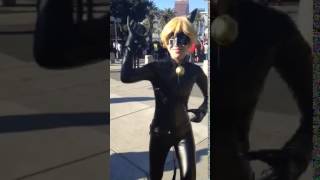 Cat noir cosplay of saying chat noir catchphrase [upl. by Llevel]