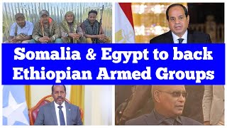 Somalia amp Egypt to Back Ethiopian Armed Groups [upl. by Nomannic433]