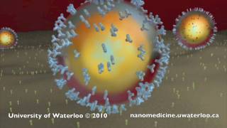 Nanotechnology for Targeted Cancer Therapy [upl. by Aerdna609]