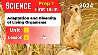 Adaptation and Diversity of Living Organisms  Prep1  Unit 3  Lesson 2  Science [upl. by Naj]