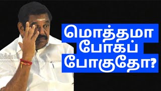 மொத்தமா போகப் போகுதோ admk edappadipalanisamy [upl. by Nalro]