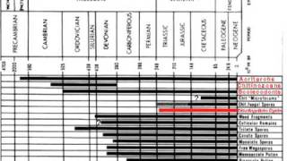 Microfossils Pt 1A [upl. by Slen]