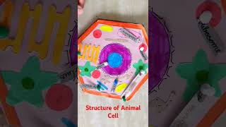 Biology Project Structure of Animal Cell [upl. by Dari]