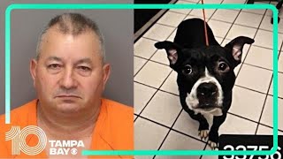 Man facing animal cruelty charges after deputies find decapitated dog at Fort De Soto Park [upl. by Jamaal19]