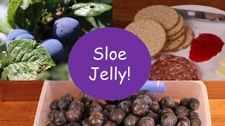 How to make Sloe Jelly not Sloe Gin [upl. by Longo]