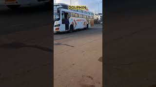 DOLPHIN 🐬 BUS SERVICE FROM BHUBANESWAR TO KOLKATA ASKA TO KHALIKHOTE LUXURY COACH [upl. by Juetta390]