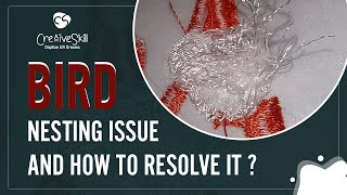 Bird Nesting Issue And How To Resolve It  Cre8iveSkill [upl. by Evot]