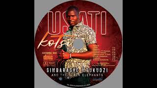 Ndauya Instrumental Track by Simbarashe Mtukudzi 2024 album Usati Kotsi [upl. by Holman]