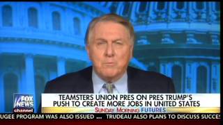 Teamsters President Jimmy Hoffa Jr Showers POTUS Trump with Praise After First Week in Office [upl. by Pyszka]