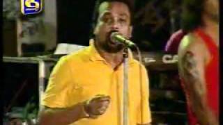 wimal weerawansa song flash bak samaga [upl. by Sisco245]