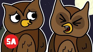 Spooky Noises SCARE Irish Owls Senseless  Sminky Shorts Ghost [upl. by Dody]