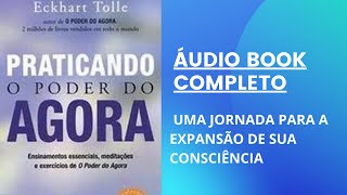 ÁUDIO BOOK PRATICANDO O PODER DO AGORA ECKHART TOLLE áudio completo [upl. by Richie]