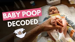 Colour Of PoopPotty In Babies  What Does Each Mean  Dr Nihar Parekh [upl. by Juster]