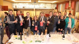 CANTINE APERTE  IL FRIULI VENEZIA GIULIA PRESENTA I VINI MIGLIORI [upl. by Atiuqal]