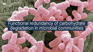 Quantifying the functional redundancy of carbohydratedegrading proteins in microbial communities [upl. by Nickerson]