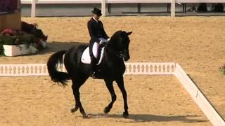 MOV009MOD Dorothee Schneider London Olympics 2012 Dressage Freestyle [upl. by Colby128]