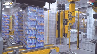 E80 Group Robotic wrapping system [upl. by Gnanmas]