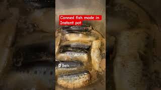 4 Homemade Canned Fish in Pressure Cooker Instant Pot Recipe from Scratch [upl. by Nottirb]