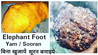 सूरन साफ़ करिए बिना खुजाये बनाइये आसानी से  Cleaning of Yam Elephant Foot  stayprettysangita [upl. by Nirat]