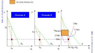Discriminación de precios de tercer grado [upl. by Norton]
