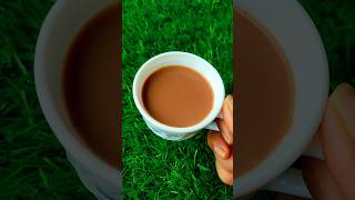 এই চায়ের স্পেশাল কিন্তু অনেক কিছুই আছে ☕☕ shorts youtubeshorts shortsvideo [upl. by Anitsyrc]