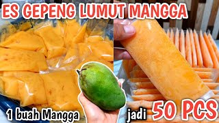 1 BUAH MANGGA JADI 50 BUNGKUS  RESEP ES LUMUT MANGGA ENAK SEGAR DAN SEHAT  COCOK JADI IDE JUALAN [upl. by Nicolella]