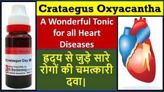 Crataegus oxyacantha homeopathic medicine  crataegus mother tincture  heart homeopathic medicine [upl. by Imis]