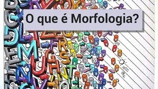 5  O que é morfologia [upl. by Sanyu]