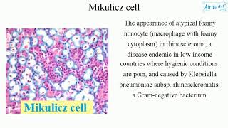 Mikulicz cell English  Medical terminology for medical students [upl. by Atinrev]