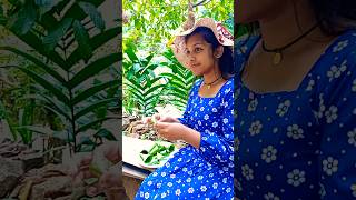 කන්න කිව්වොත් ඕනි එකක් 🤤😋  viralvideo shortsfeed shorts deepawali [upl. by Emelin]