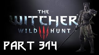 Lets Play The Witcher 3 Wild Hunt GOTY Part 314 The Failed Air Force [upl. by Lamak]