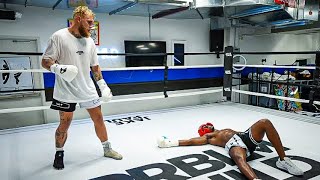 I Got Knocked Out By Jake Paul [upl. by Atnwahsal]