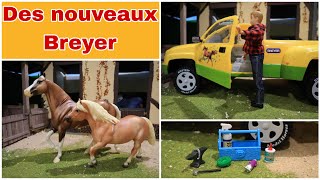 Breyer Jagrandis ma collection pour mon anniversaire [upl. by Lien]