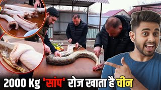 2000 Kg सांप रोज खाता है चीन 😱 और साल में 10000 टन  Amazing random facts  facts gsrfact74 [upl. by Harlie40]