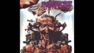 Agathocles  Superiority Overdose 2001 Full Album HQ Mincecore [upl. by Derril871]