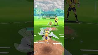 Mega Beedrill VS Mega Beedrill PVP Battel in pokemongo [upl. by Ij]