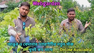 দামসহ WebGarden এর আঙ্গুর আর বেদনার ভ্যারাইটি টোটাল কালেকশন। [upl. by Nnaarat]