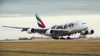 World Wildlife Day  Emirates Airline [upl. by Aiki]