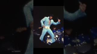 Hound Dog Elvis at Madison Square Garden 1972 elvis music [upl. by Ilagam413]