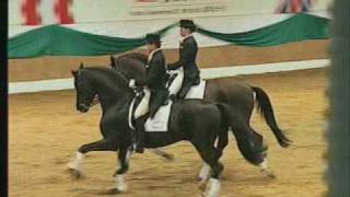 HOHENSTEIN Trakehner stallion by wwwequineevolutioncom [upl. by Aryamoy323]