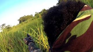 Birdbush 2021  Bird Hunting in Jamaica  W1 Saturday Morning [upl. by Htenaj]