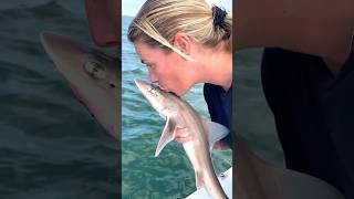 SHARK KISS AND RELEASE 🦈 fishingdaily sharkfishing saltwaterfishing roofvissen catchandrelease [upl. by Larimor]