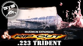 223 TRIDENT Round vs GEL amp Meat [upl. by Enala]