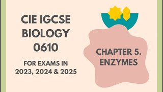 5 Enzymes Cambridge IGCSE Biology 0610 for exams in 2023 2024 and 2025 IGCSEStudyBuddy [upl. by Adelind]