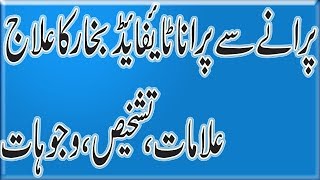 Typhoid Fever treatment by dr naveed  ٹائیفائیڈ بخار کا علاج [upl. by Alisander125]