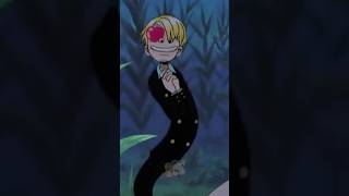 The Story of Vinsmoke Sanji [upl. by Peisch]