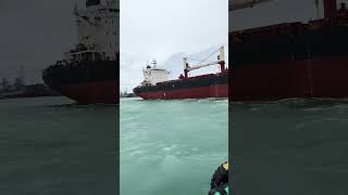 Undocking Motor Vessel youtube short shipspotting shortvideo [upl. by Bethezel]