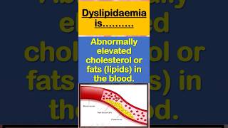 Dyslipidemia food fats cholesterol ldl [upl. by Gone]