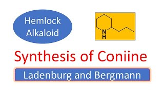 Synthesis of Coniine  Dr Bharat Baria [upl. by Darla955]